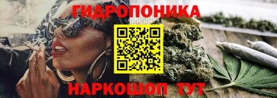 соль ск Будённовск