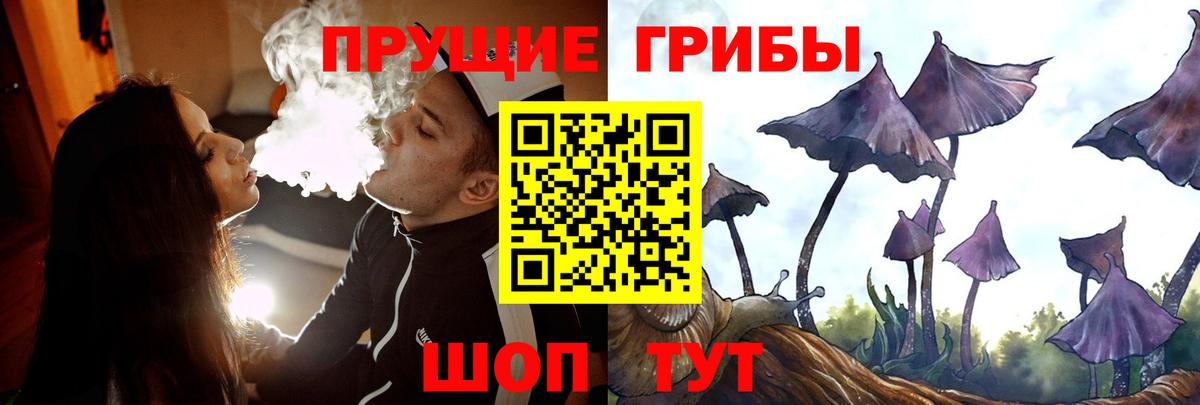 Галлюциногенные грибы ЛСД Карабулак
