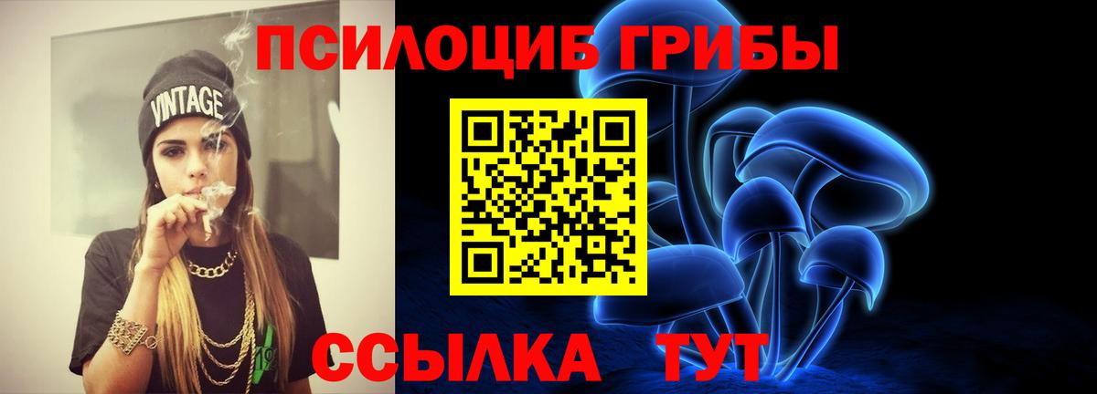где продают   Вход с VPN  Карабулак  Галлюциногенные грибы GOLDEN TEACHER 